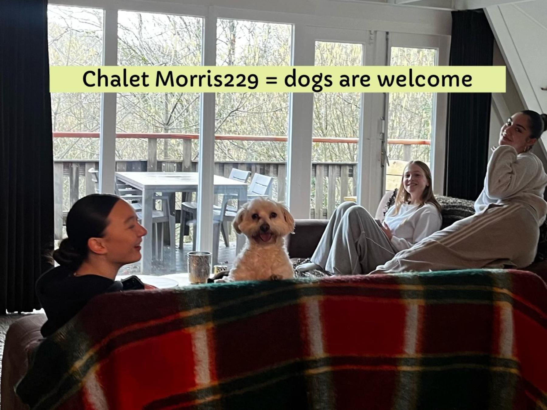Chalet Morris229 Durbuy